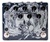 WALRUS AUDIO Descent Reverb